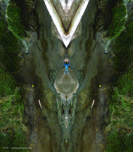 PalindromeE23