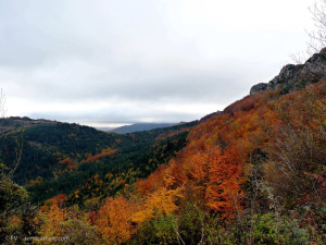 ValléeduBézuA02